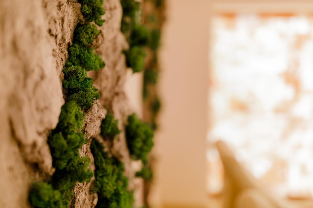 Muller Hotel Boutique & Spa Galaţi Екстериор снимка